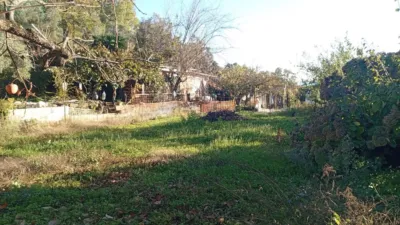 Rustic finca in Villanueva de La Vera photo 4