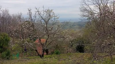 Rustic Finca in Valverde de La Vera photo 37