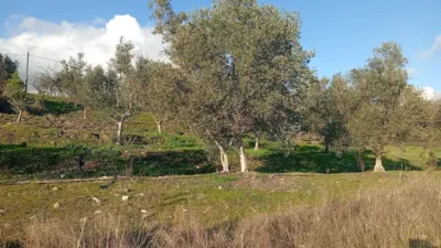 Rustic Finca in Losar de La Vera photo 17