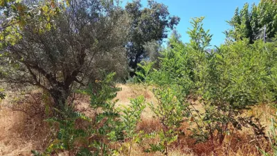 Rustic finca in Talaveruela de La Vera photo 15