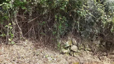Rustic finca in Viandar de La Vera photo 16