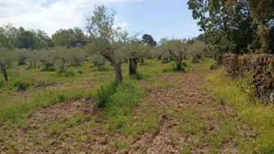 Rustic finca in Villanueva de La Vera photo 41