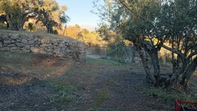 Rustic Finca in Villanueva de La Vera photo 14