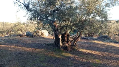Rustic Finca in Villanueva de La Vera photo 61