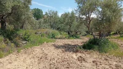 Rustic Finca in Villanueva de La Vera photo 28