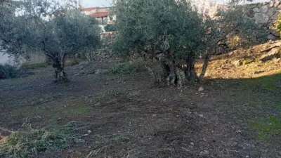 Rustic Finca in Villanueva de La Vera photo 63