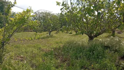 Rustic finca in Villanueva de La Vera photo 34