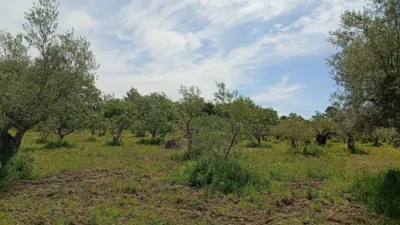 Rustic finca in Villanueva de La Vera photo 37
