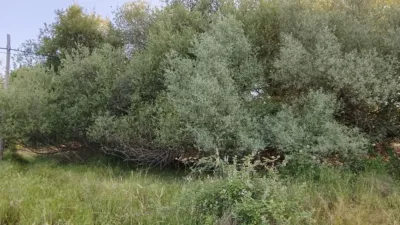 Rustic in Madrigal de La Vera photo 26
