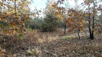 Rustic farm in Viandar de La Vera photo 2