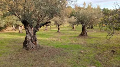 Rustic Finca in Villanueva de La Vera photo 16