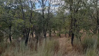 Rustic Finca in Villanueva de La Vera photo 45