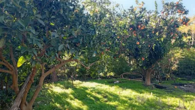 Rustic finca in Villanueva de La Vera photo 52