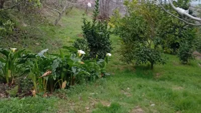 Rustic Finca in Valverde de La Vera photo 93