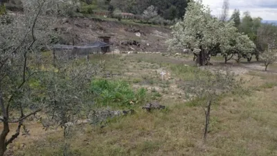 Rustic Finca in Villanueva de La Vera photo 28