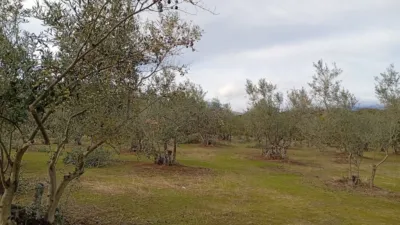 Rustic finca in Villanueva de La Vera photo 21