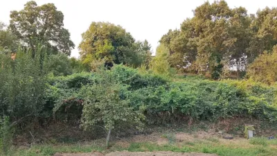 Rustic finca in Madrigal de La Vera photo 7