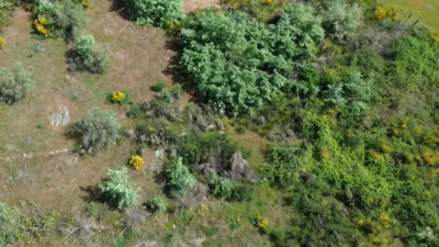 Rustic finca in Viandar de La Vera photo 7