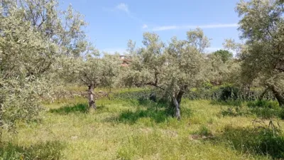 Rustic Finca in Villanueva de La Vera photo 2