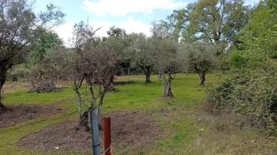 Finca rústica en Villanueva de La Vera photo 49