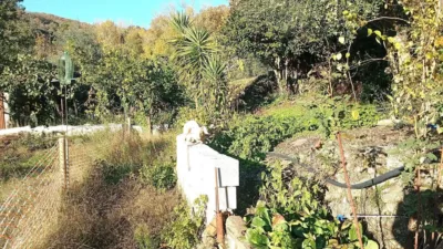Rustic finca in Villanueva de La Vera photo 45