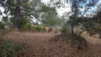 Rustic Finca in Villanueva de La Vera photo 103
