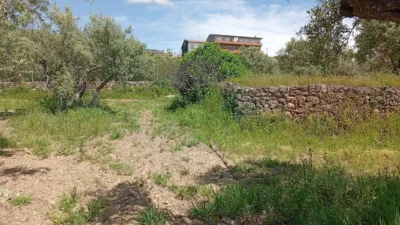 Rustic Finca in Villanueva de La Vera photo 36