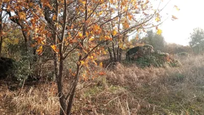 Rustic farm in Viandar de La Vera photo 42