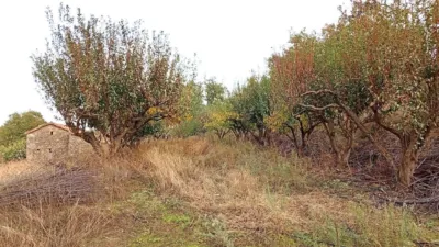 Rustic farm in Villanueva de La Vera photo 6