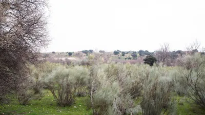 Rustic finca in Quijorna photo 3