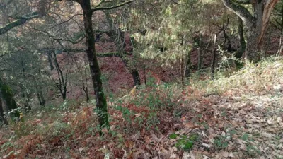 Rustic Finca in Villanueva de La Vera photo 6