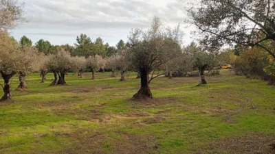 Rustic Finca in Villanueva de La Vera photo 9