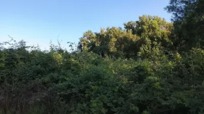 Rustic Finca in Villanueva de La Vera photo 7