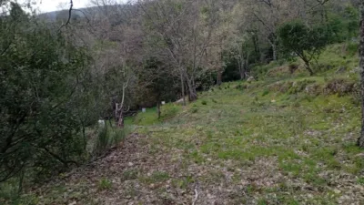 Rustic Finca in Valverde de La Vera photo 108