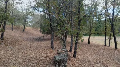 Rustic Finca in Villanueva de La Vera photo 110