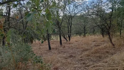 Rustic Finca in Villanueva de La Vera photo 34