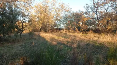 Rustic farm in Viandar de La Vera photo 17