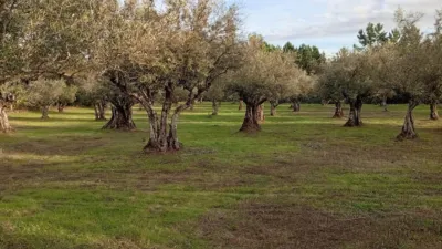 Rustic Finca in Villanueva de La Vera photo 24
