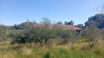 Chalet in Villanueva de La Vera photo 80