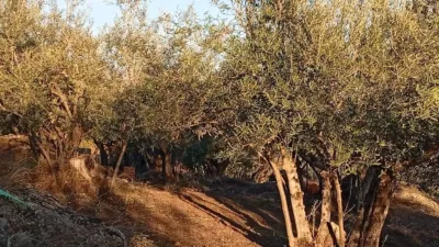 Rustic Finca in Villanueva de La Vera photo 6