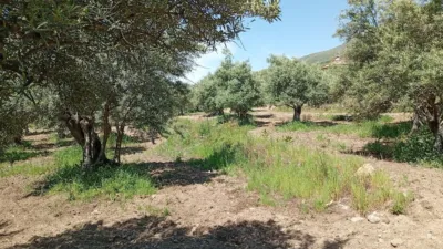 Rustic Finca in Villanueva de La Vera photo 52