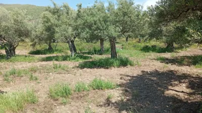 Rustic Finca in Villanueva de La Vera photo 46