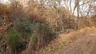 Rustic Finca in Viandar de La Vera photo 8