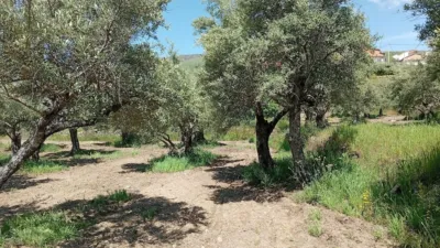 Rustic Finca in Villanueva de La Vera photo 54