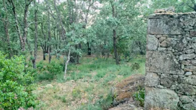Rustic Finca in Villanueva de La Vera photo 4