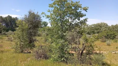 Rustic finca in Villanueva de La Vera photo 106