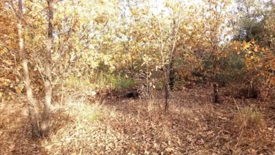 Rustic farm in Viandar de La Vera photo 30