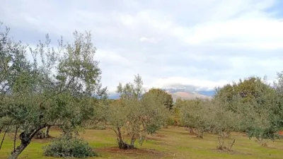 Rustic finca in Villanueva de La Vera photo 23