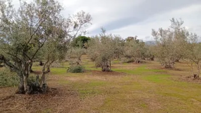 Rustic finca in Villanueva de La Vera photo 13