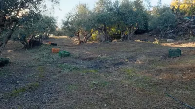 Rustic Finca in Villanueva de La Vera photo 19